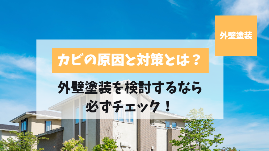 カビの原因と対策とは？外壁塗装の際にはご考慮してください。