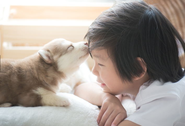 ペットを飼っているご家庭で、外壁塗装工事中に気を付けるポイント