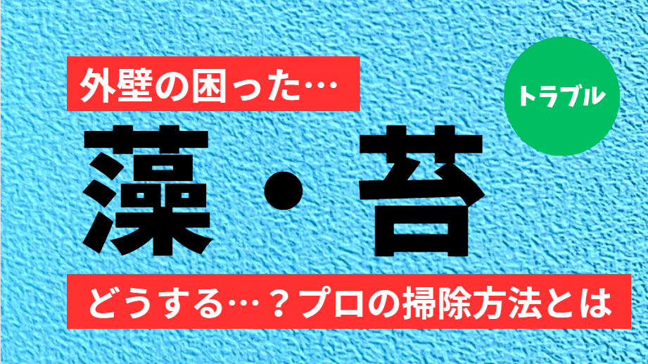 外壁の困った「藻・コケ」の掃除方法について